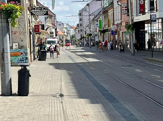 Апартаменты Butique In The Center