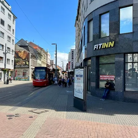 Butique In The Center 公寓 *